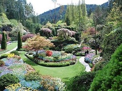 the Garden of Five Senses is located in Delhi