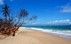 great way to spend an afternoon in Libreville: Pointe Denis Beach