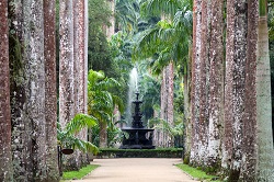 Botanical Garden with water fountains in Rio de Janeiro