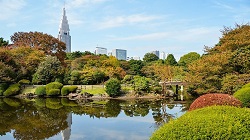 the Shinjuku Gardens in Tokyo include Japanese, French, and English-style gardens