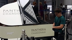 Dylan playing piano at Chicago O'Hare Airport